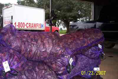 live crawfish in katy at
              the farm